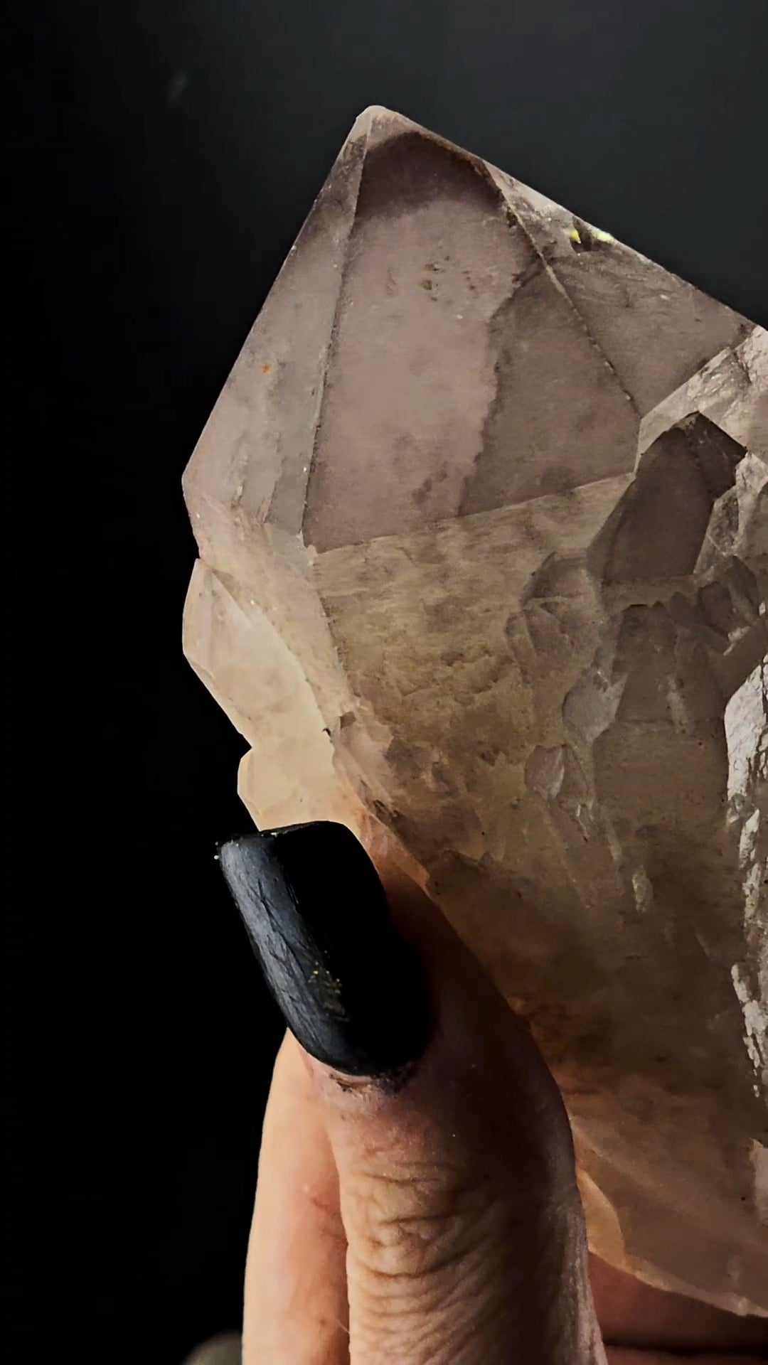 Purple Tipped Cactus Quartz from South America