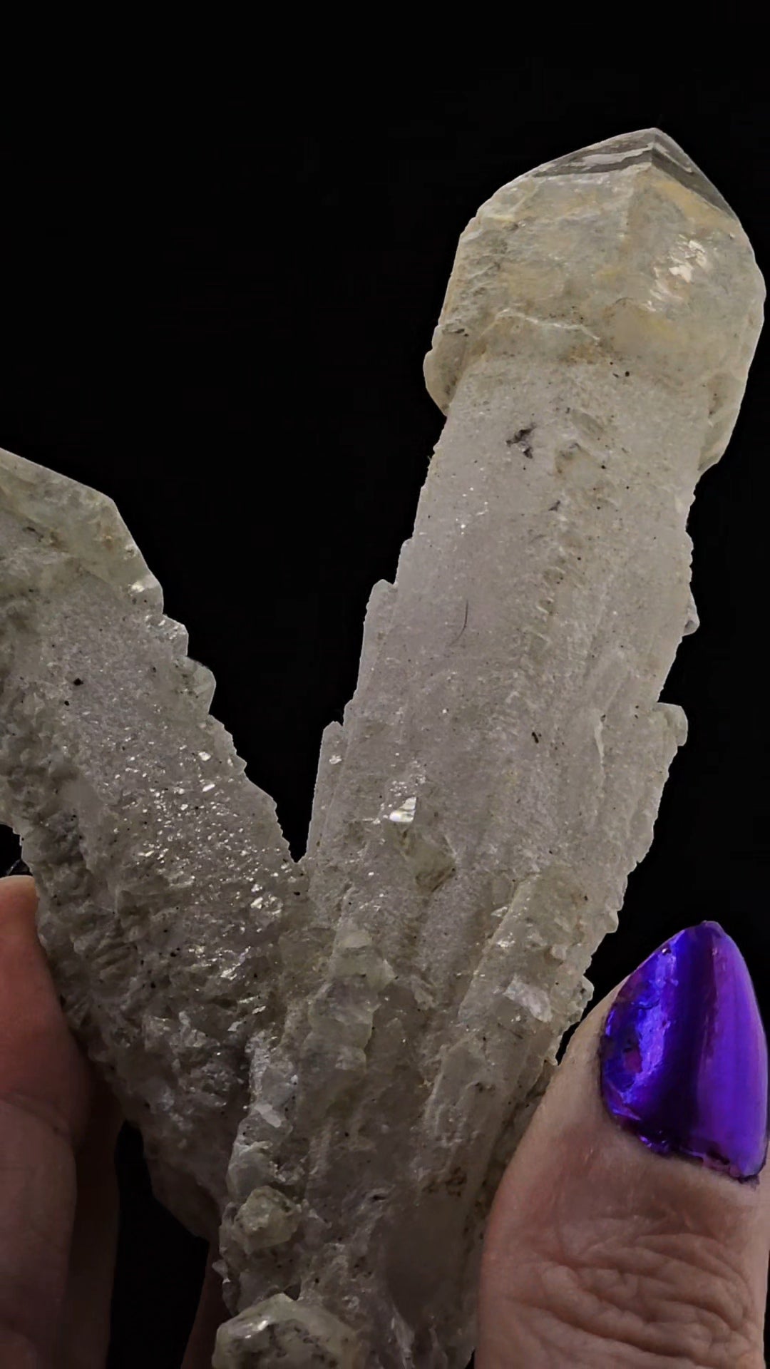 Stunning Inner Mongolian Twin Quartz Scepter – Dragonscale Formation!