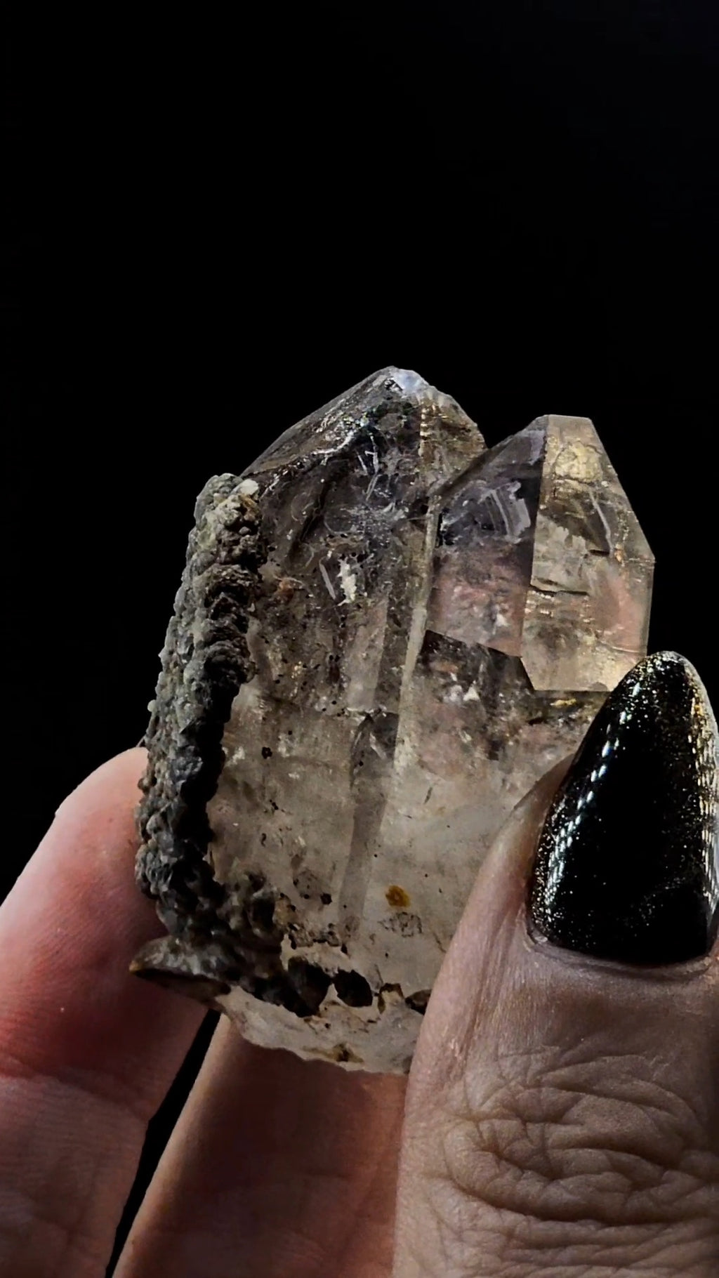 Tantric Twin from Little Ones Claim Goboboseb