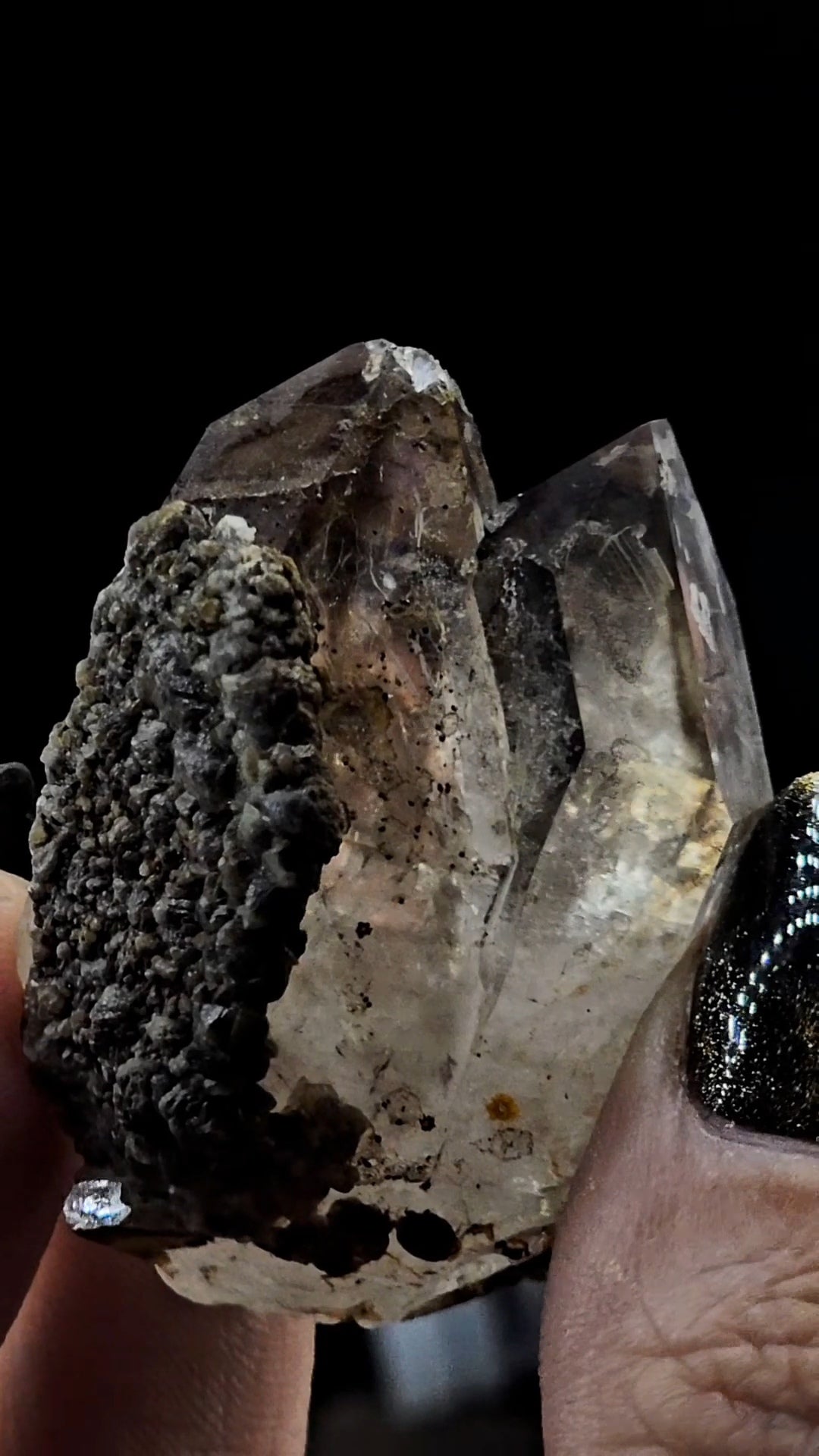 Tantric Twin from Little Ones Claim Goboboseb