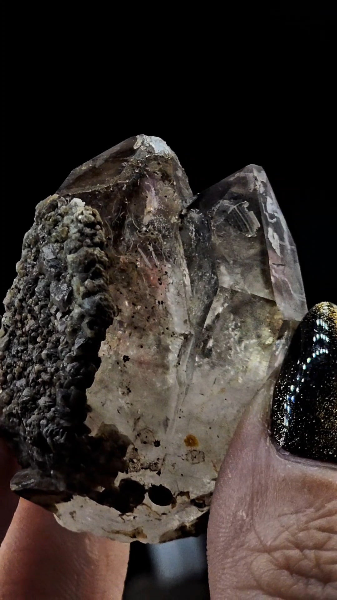 Tantric Twin from Little Ones Claim Goboboseb