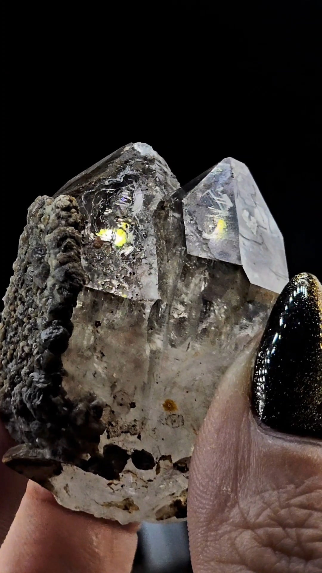 Tantric Twin from Little Ones Claim Goboboseb