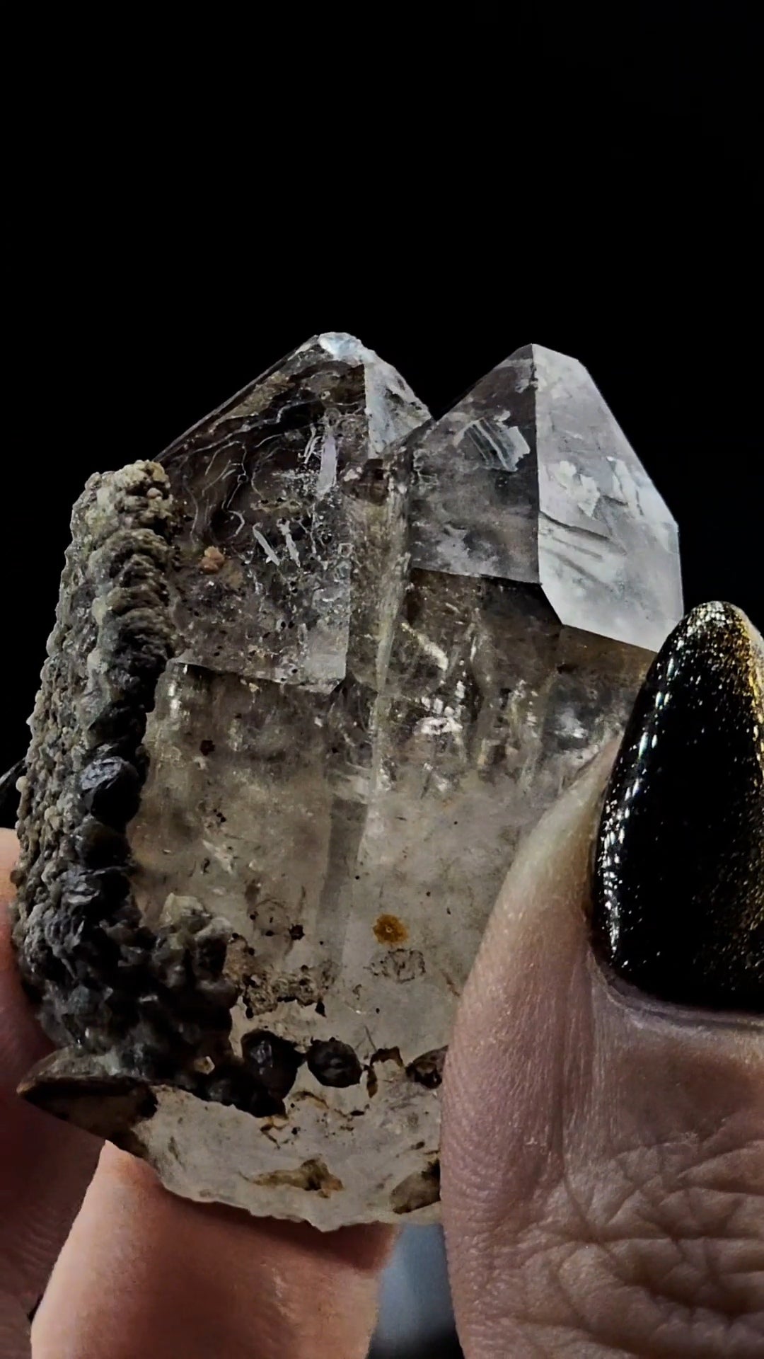 Tantric Twin from Little Ones Claim Goboboseb