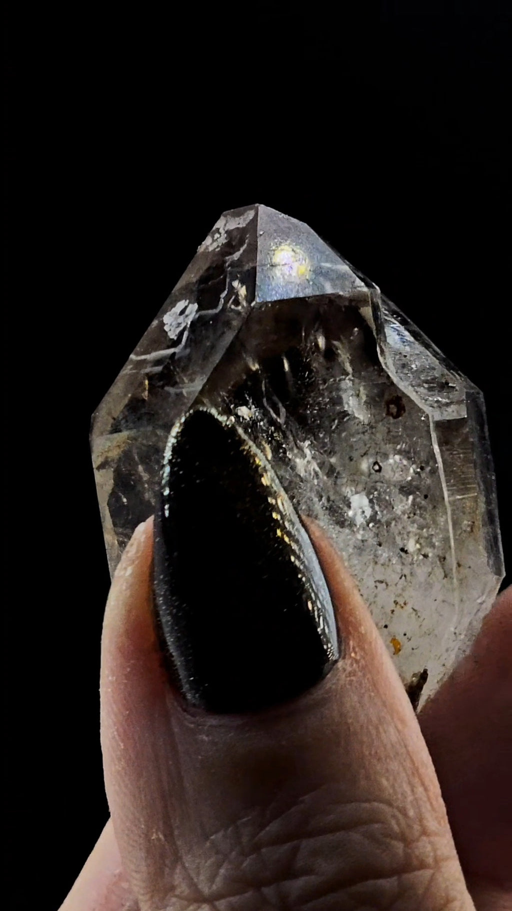 Tantric Twin from Little Ones Claim Goboboseb