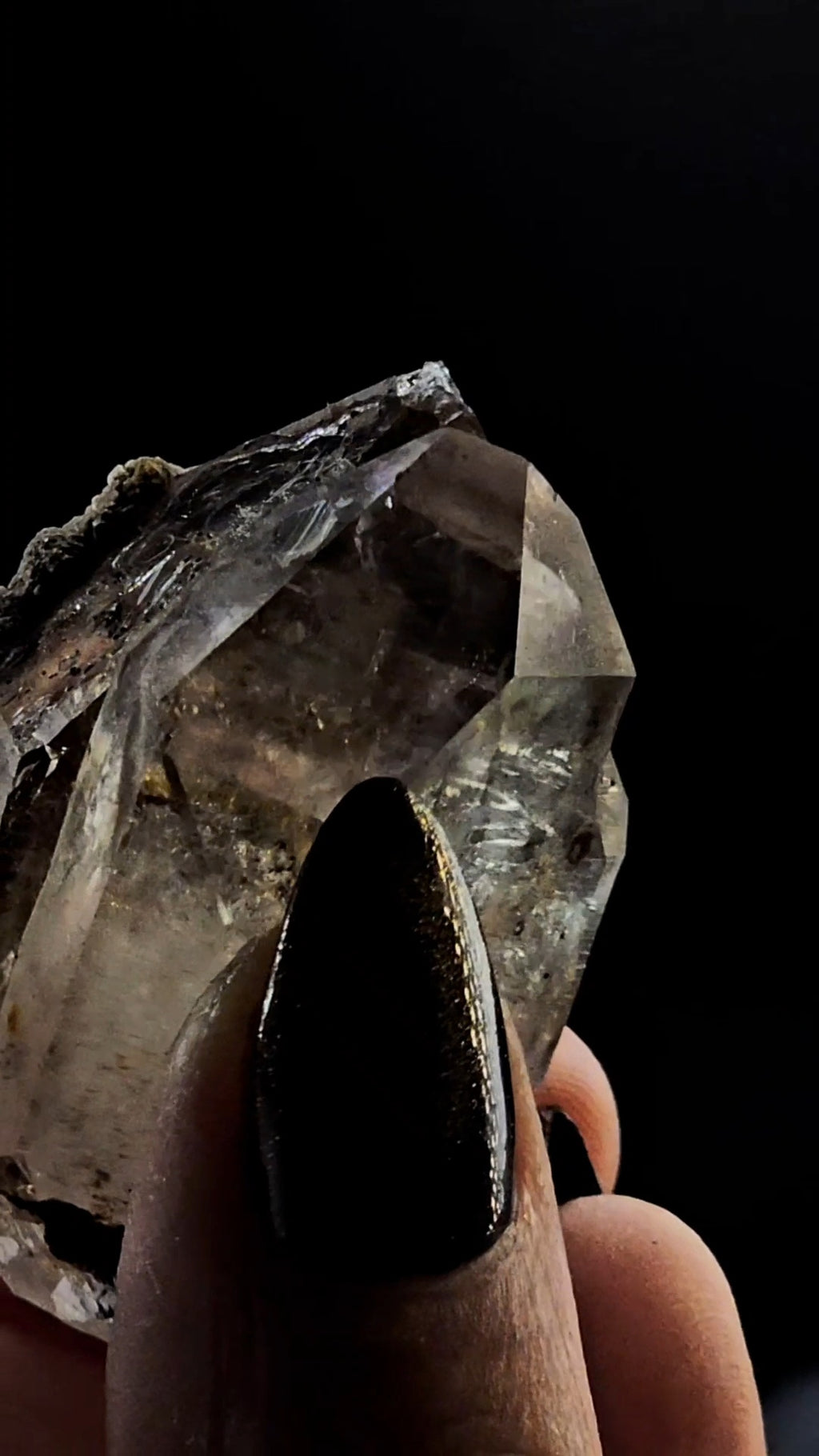 Tantric Twin from Little Ones Claim Goboboseb