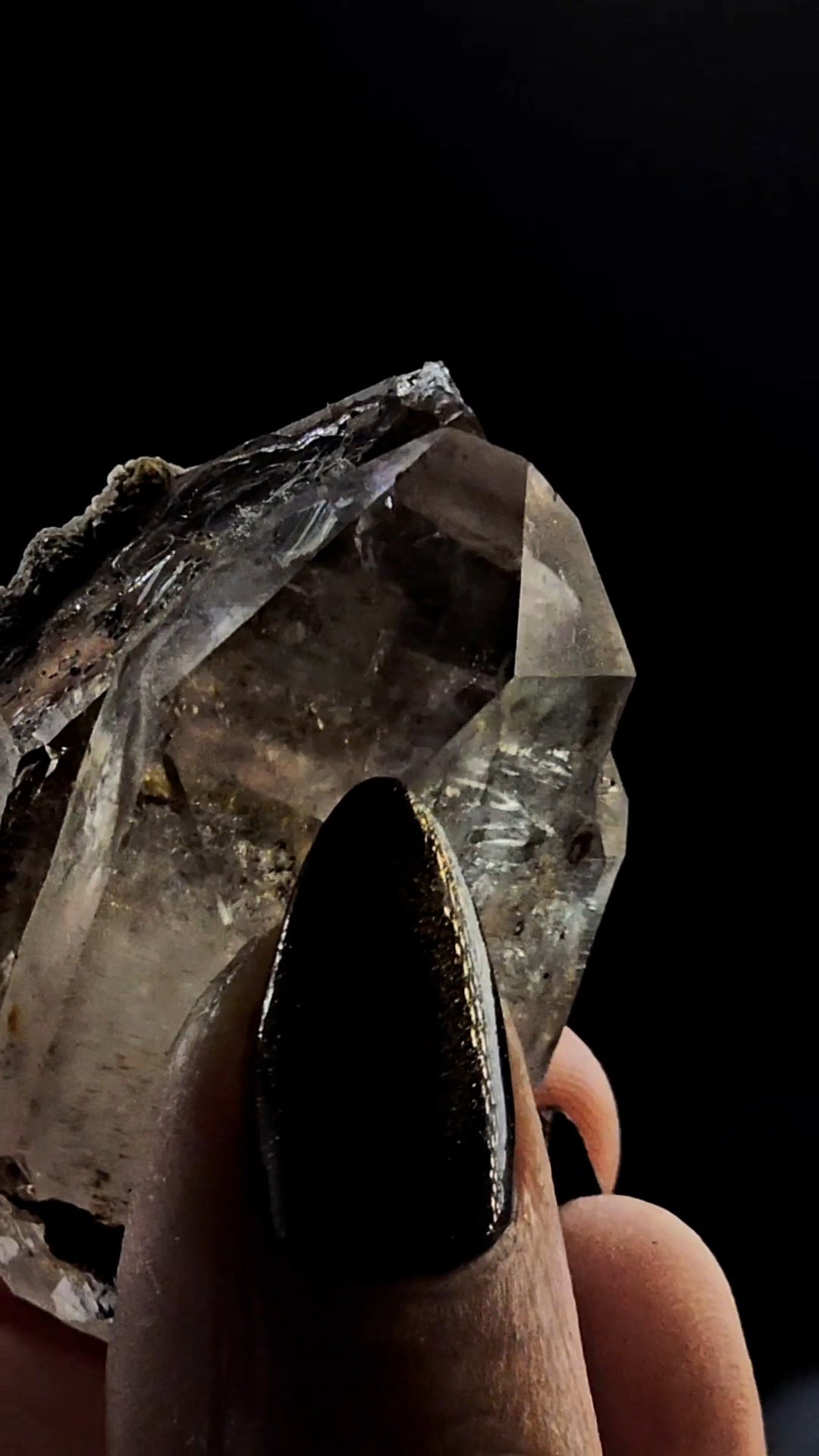 Tantric Twin from Little Ones Claim Goboboseb