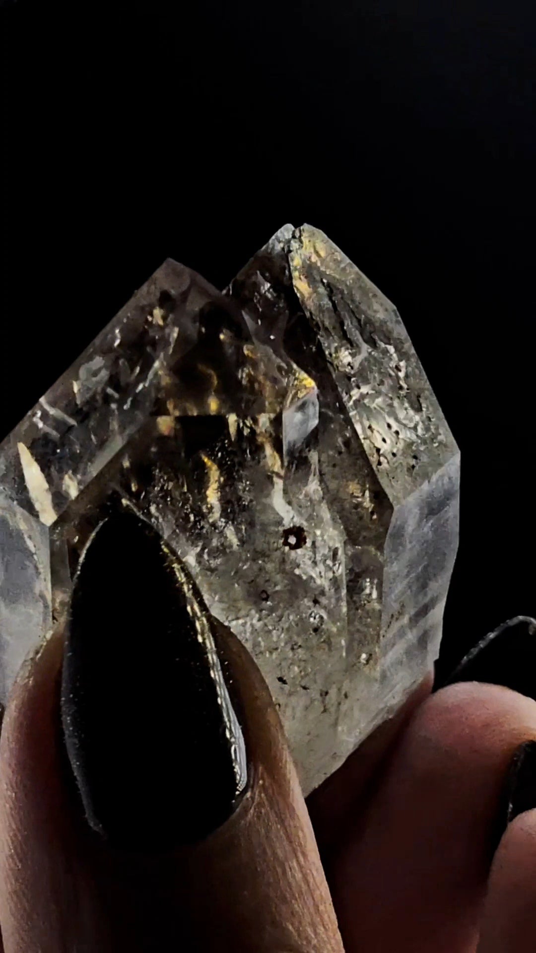 Tantric Twin from Little Ones Claim Goboboseb