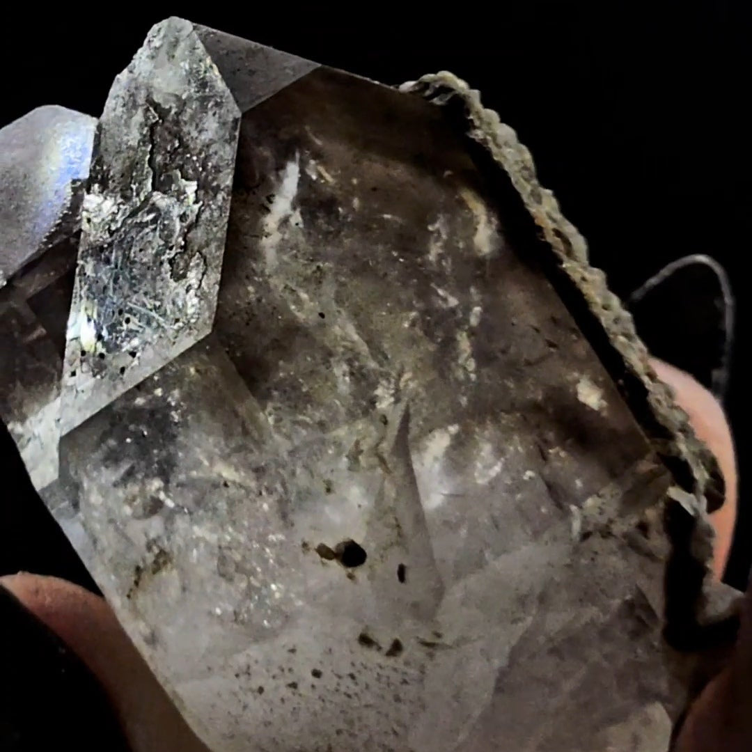 Tantric Twin from Little Ones Claim Goboboseb