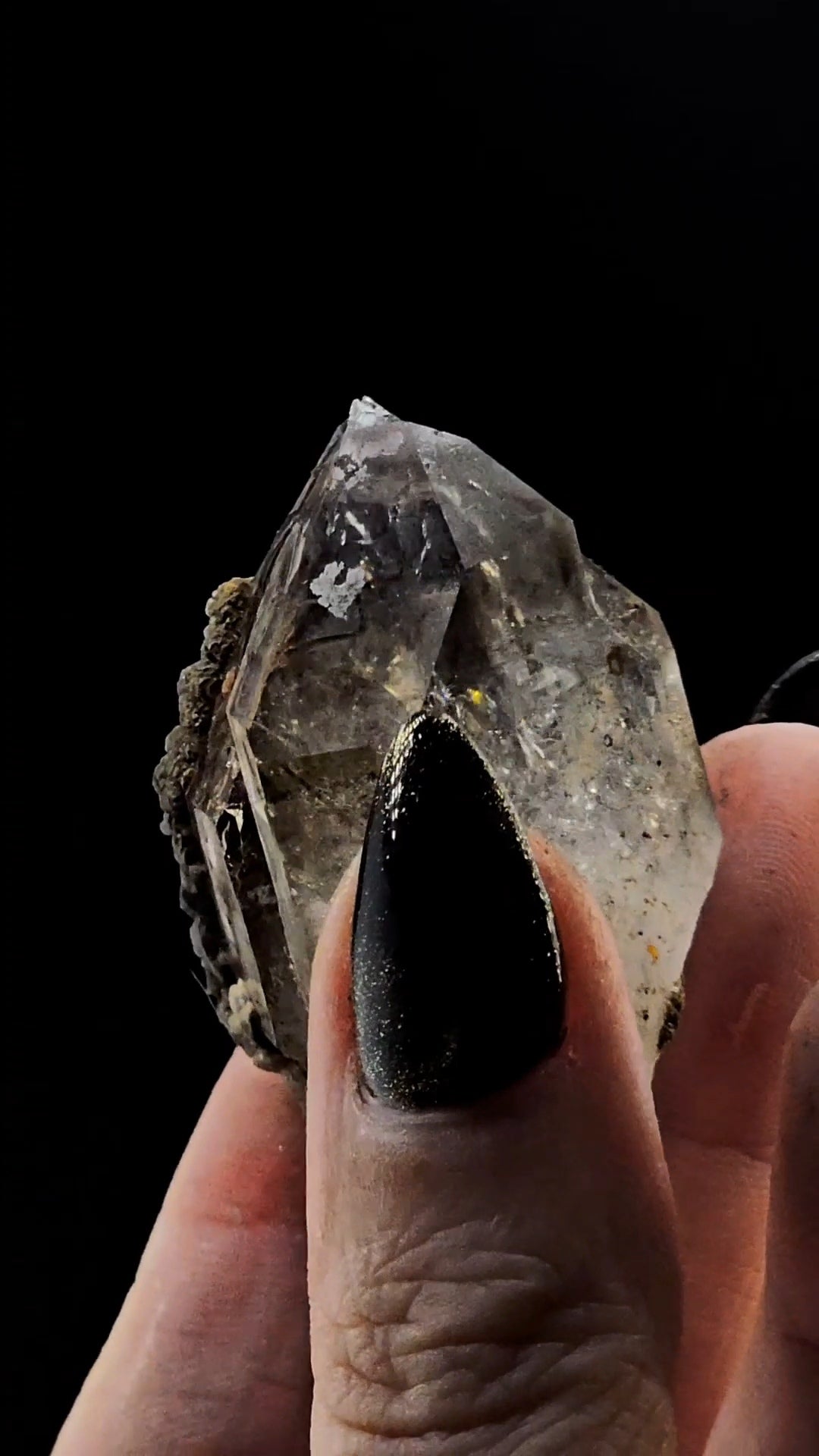 Tantric Twin from Little Ones Claim Goboboseb