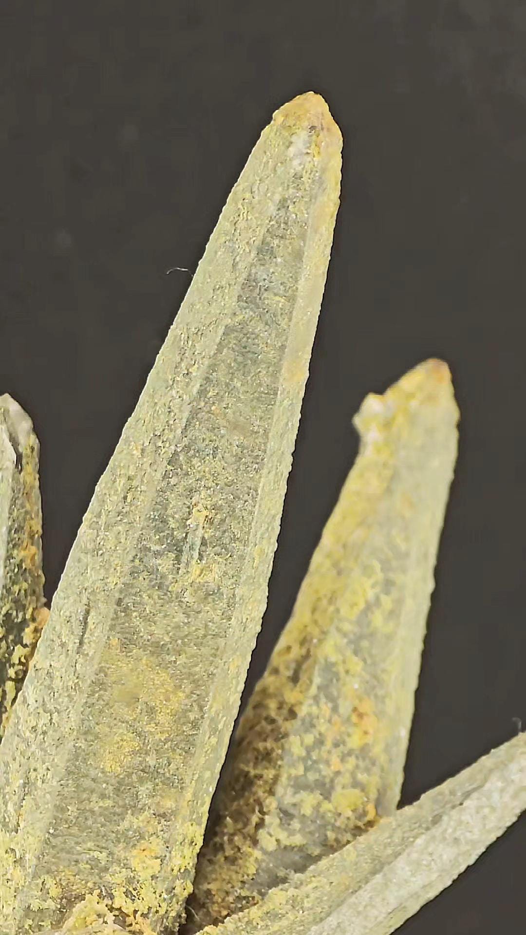 Ganesh Himal Chlorite Quartz Cluster | High Energy Himalayan Crystal | Manifestation & Healing Stone | Natural Green Quartz