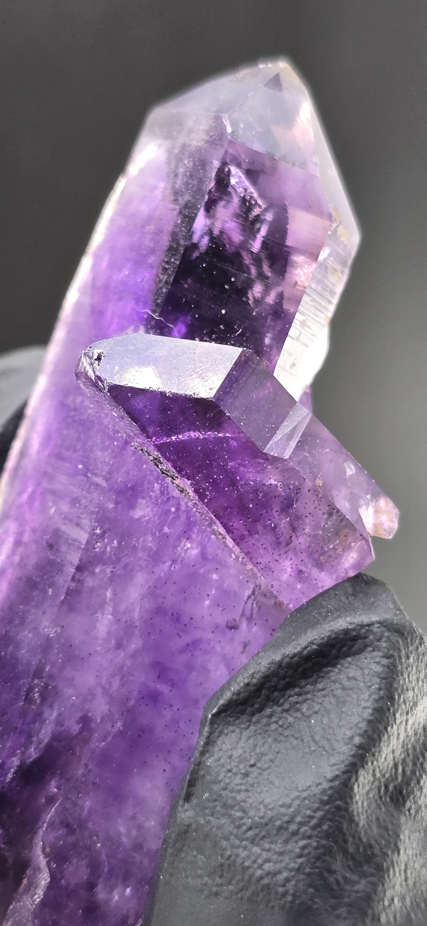 Three Trees Brandberg Amethyst Phantom | Deep Purple Double Terminated Tabby Quartz | Self-Healed Crystal | High Vibration Collector’s Piece