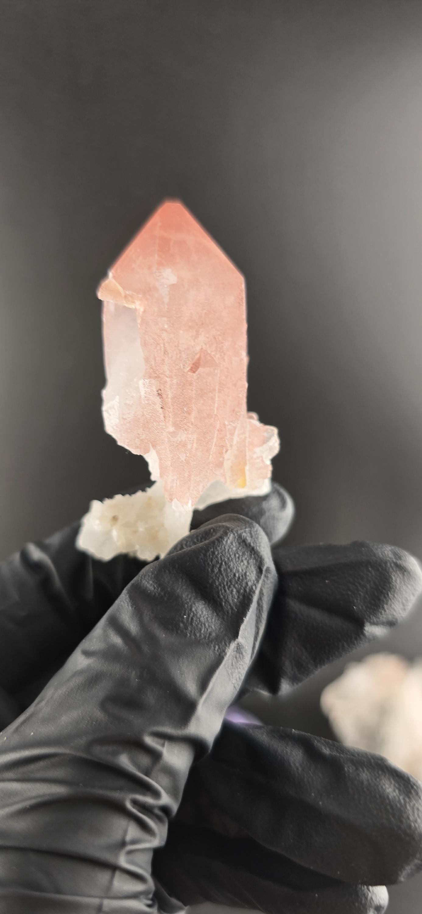 NEW FIND! Hematite Scepter Quartz | New Find from Baratpur, Rajasthan | High-Vibration Crystal | Collector’s Quartz Point
