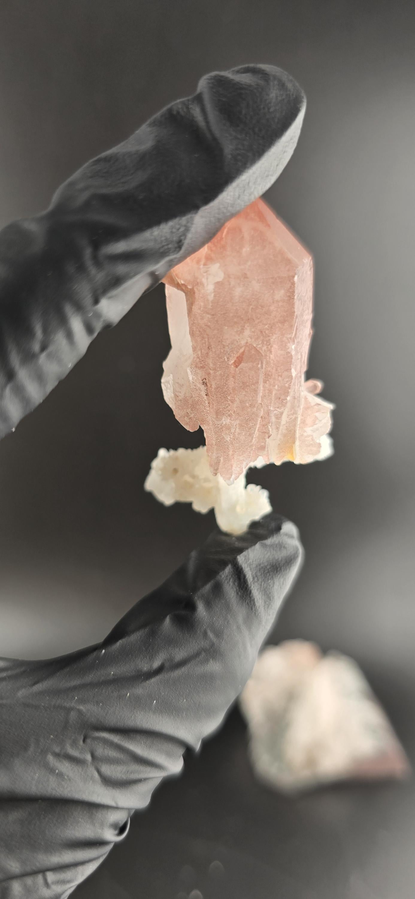NEW FIND! Hematite Scepter Quartz | New Find from Baratpur, Rajasthan | High-Vibration Crystal | Collector’s Quartz Point