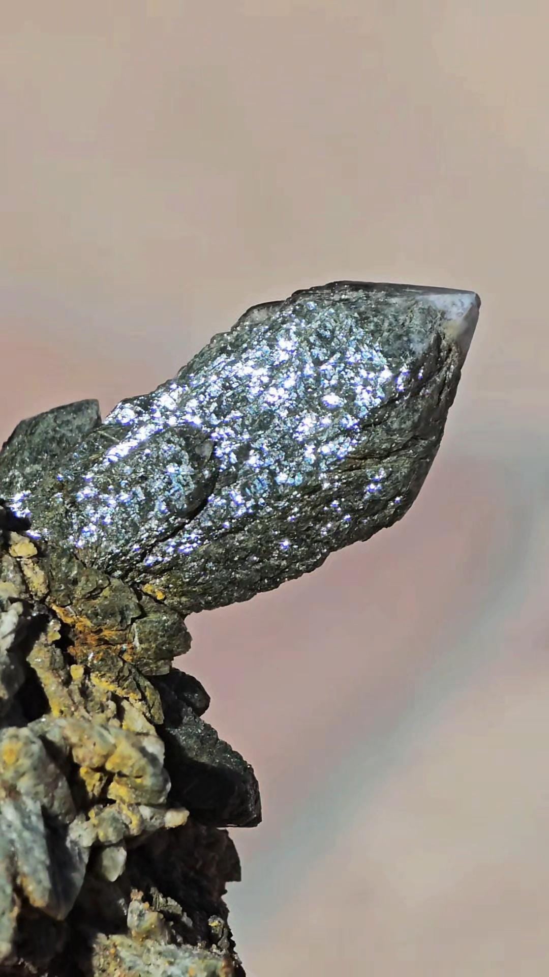 RARE Russian Dragon Prase Quartz Point on Matrix from Delnagorsk!