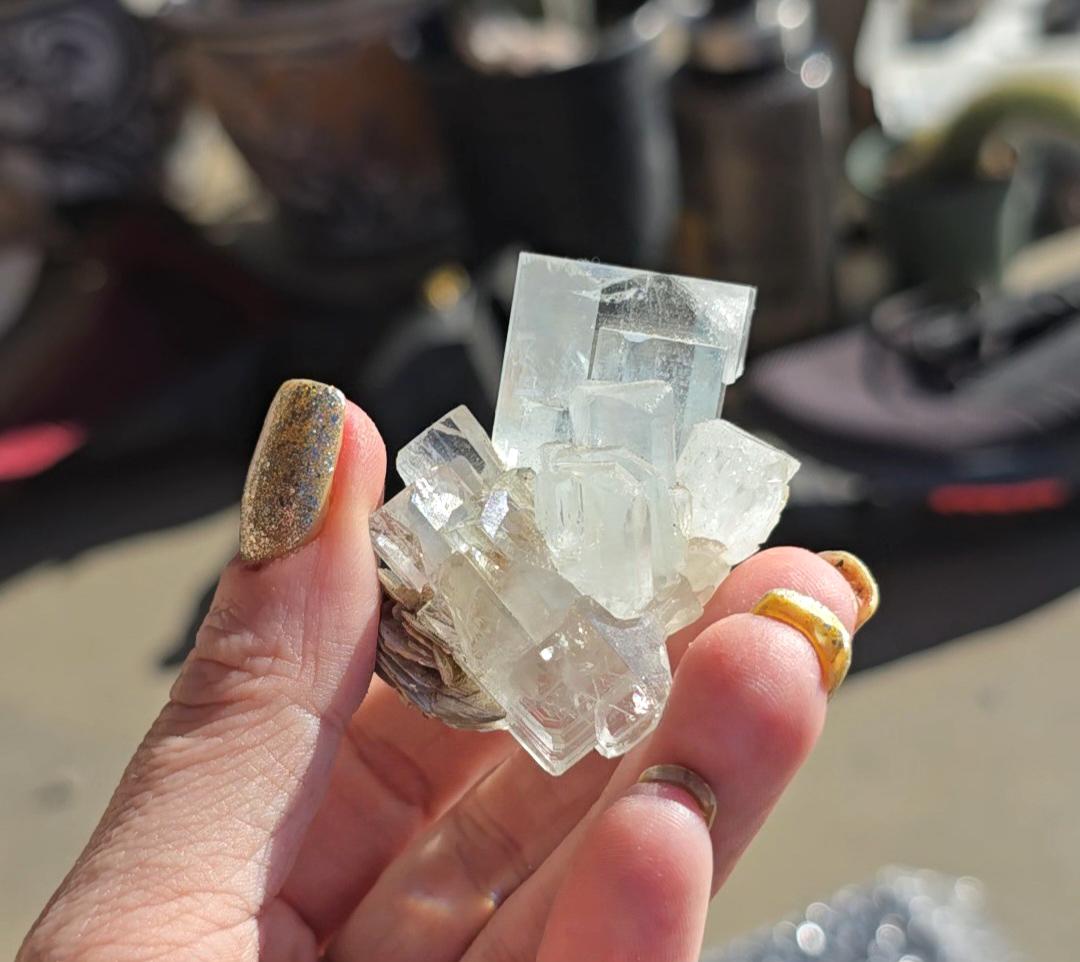 Water Clear Aquamarine on Mica | Shigar Valley, Pakistan | Natural Blue Aquamarine Crystal Specimen