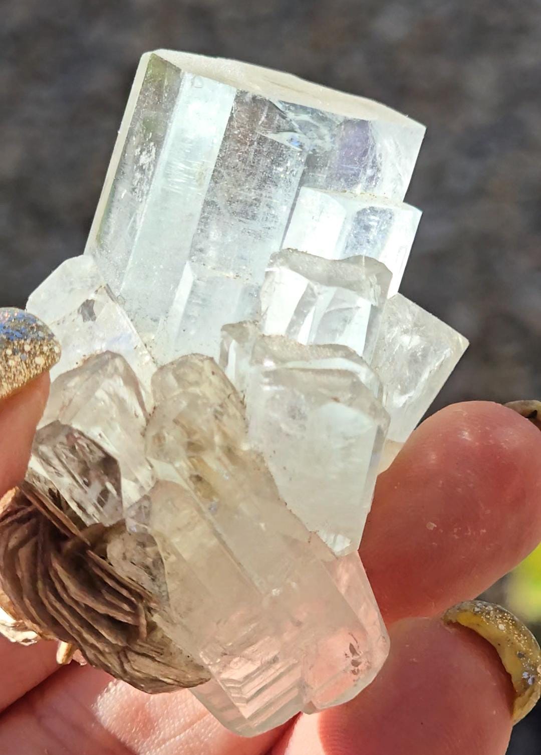 Water Clear Aquamarine on Mica | Shigar Valley, Pakistan | Natural Blue Aquamarine Crystal Specimen