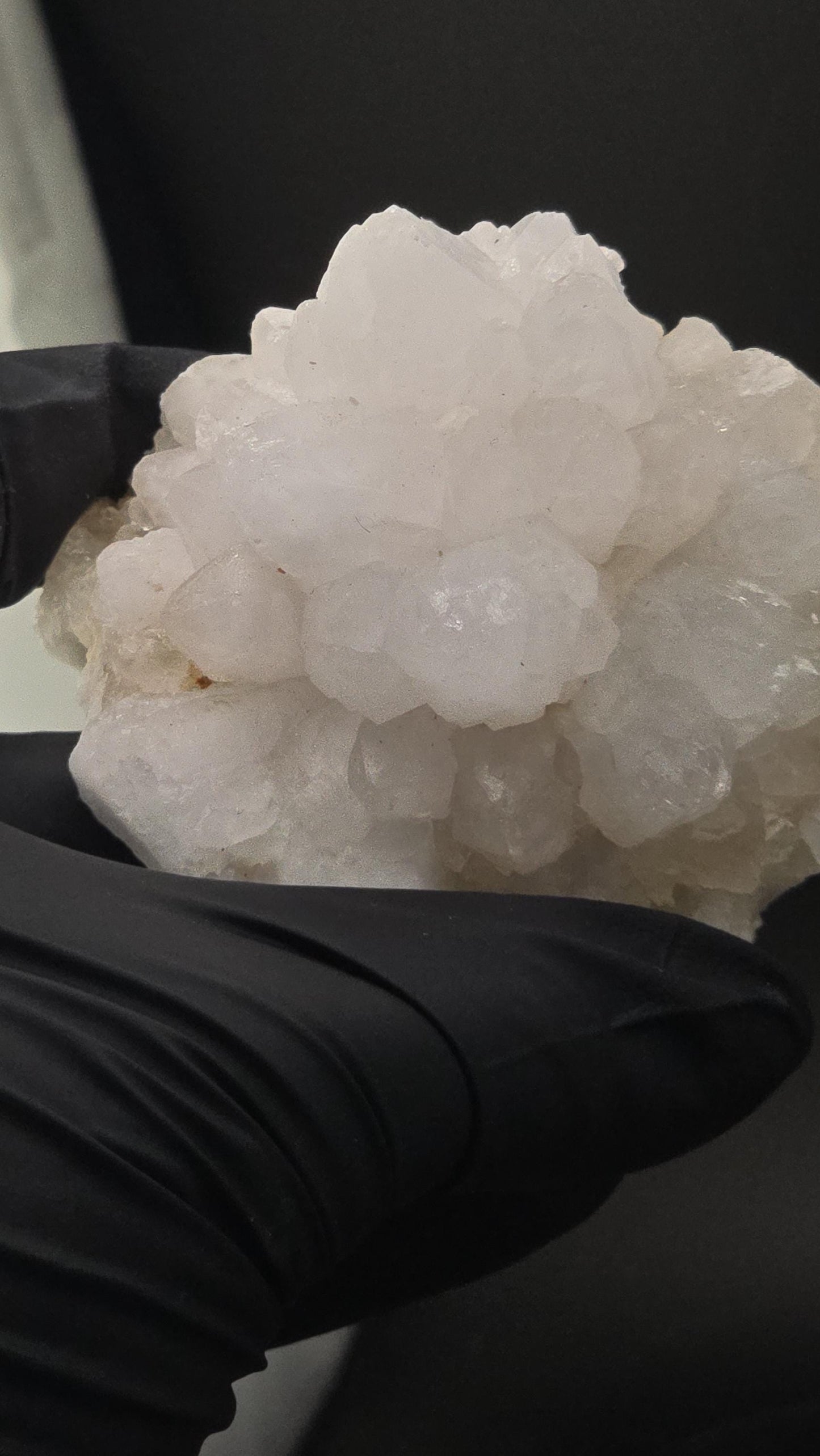 White Quartz Flower Cluster | Natural Crystal Bloom | Raw Clear Quartz | Healing Energy Stone | Reiki & Meditation Decor