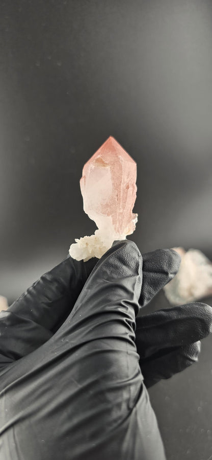 NEW FIND! Hematite Scepter Quartz | New Find from Baratpur, Rajasthan | High-Vibration Crystal | Collector’s Quartz Point