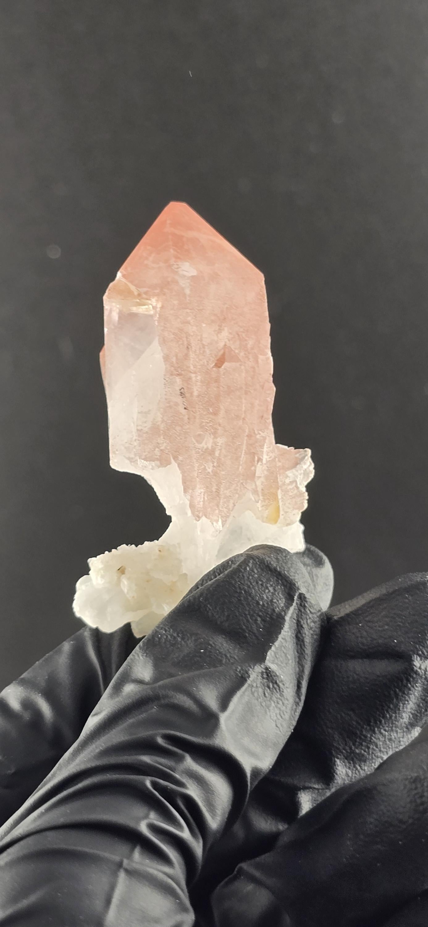 NEW FIND! Hematite Scepter Quartz | New Find from Baratpur, Rajasthan | High-Vibration Crystal | Collector’s Quartz Point