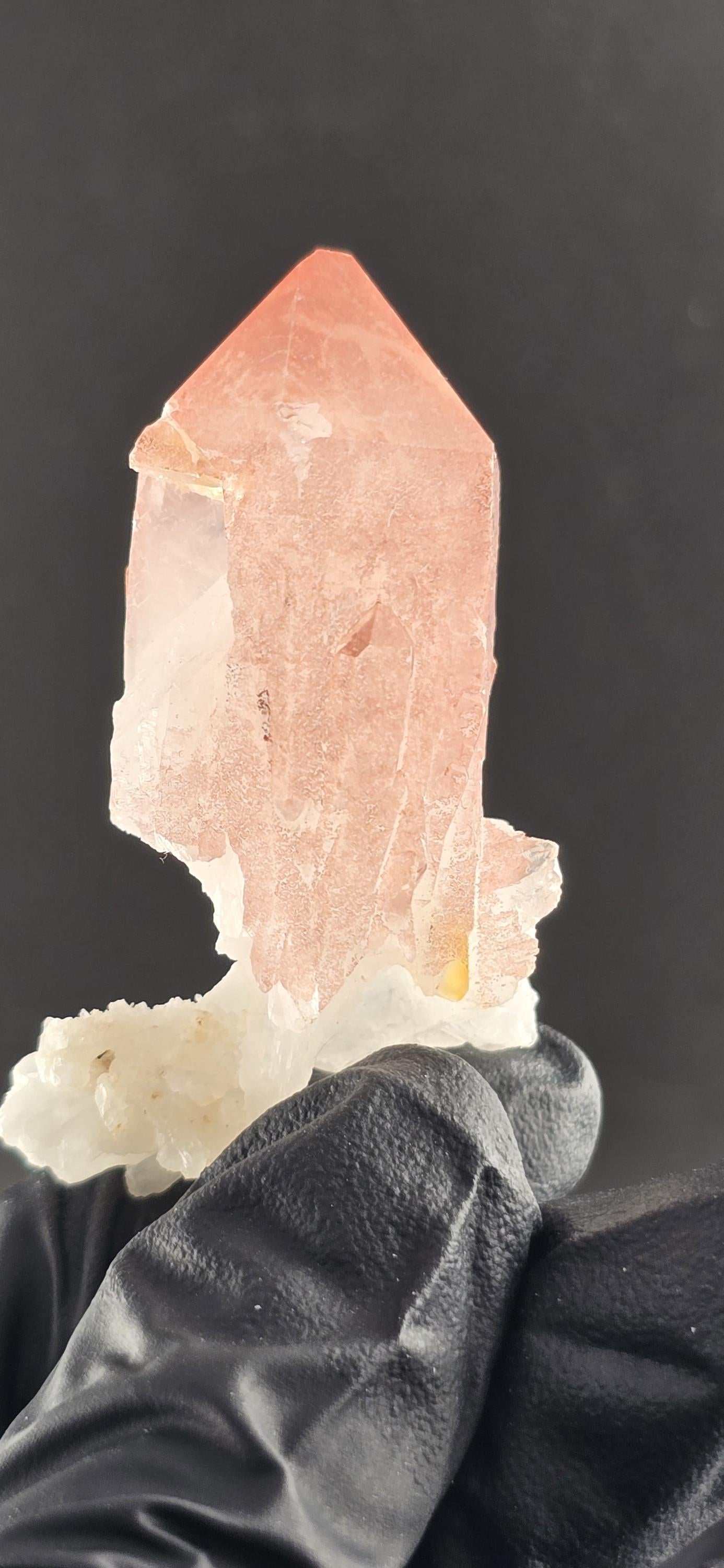 NEW FIND! Hematite Scepter Quartz | New Find from Baratpur, Rajasthan | High-Vibration Crystal | Collector’s Quartz Point