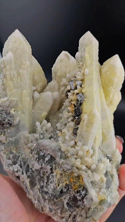 Dragon Cluster Masterpiece Inner Mongolia Old Stock with Pyrite on Fluorite