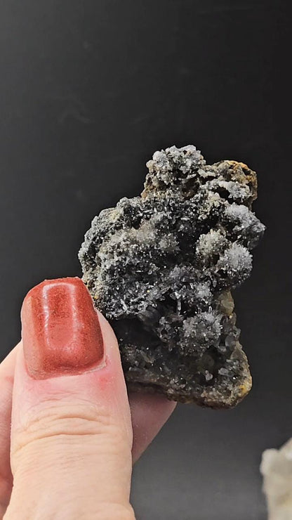 BLACK AMETHYST VERA Cruz Mexico! New find! Limited supply!