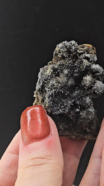 BLACK AMETHYST VERA Cruz Mexico! New find! Limited supply!