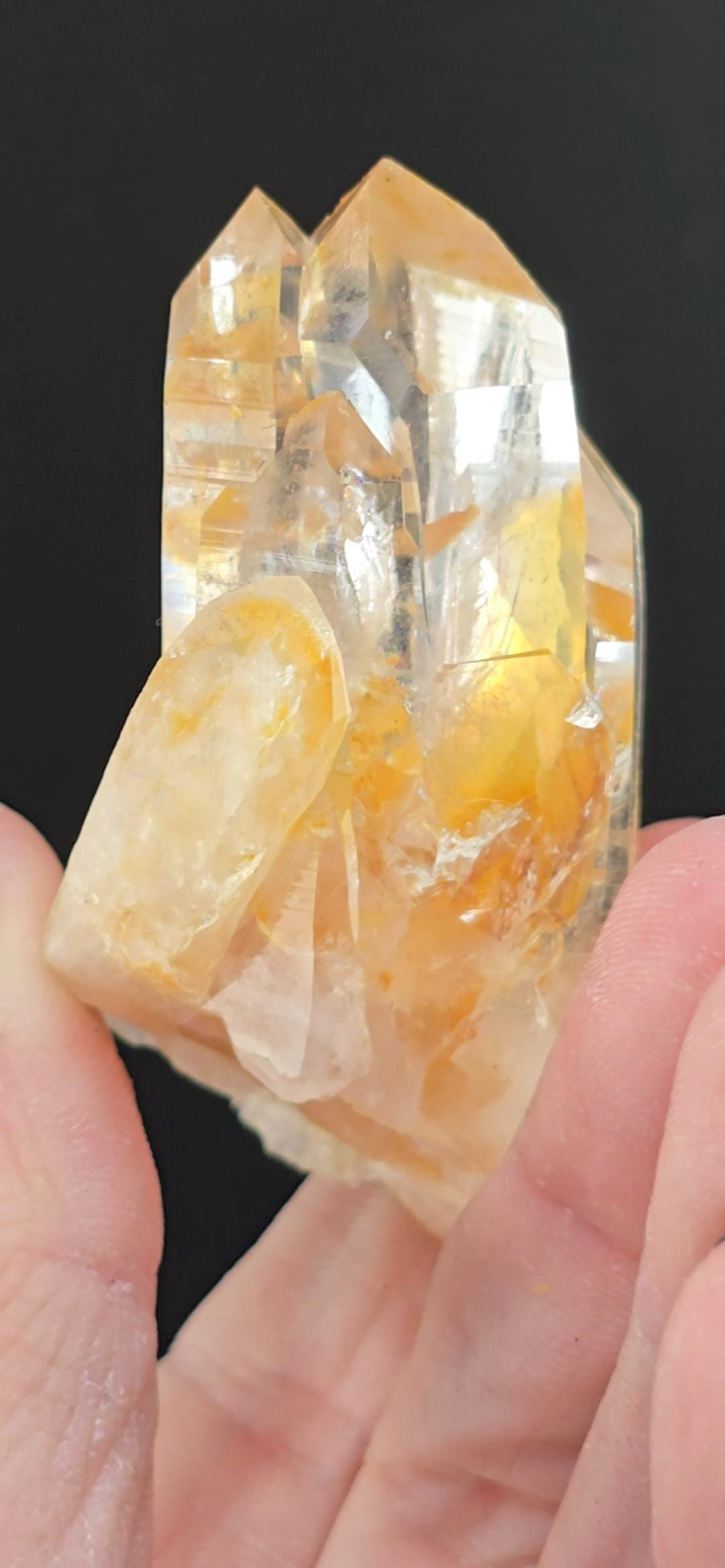 Peña Blanca Mine Colombian Quartz | Water Clear Lemurian | Rare | High Vibrational