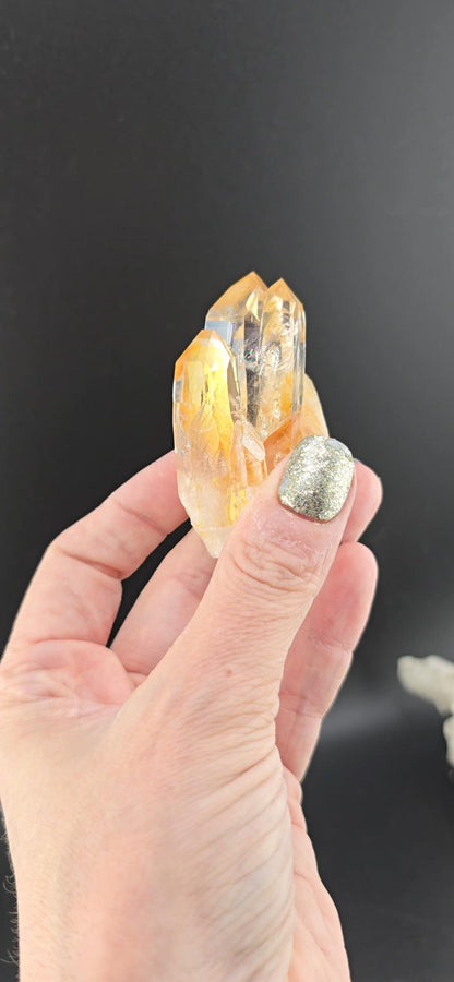 Peña Blanca Mine Colombian Quartz | Water Clear Lemurian | Rare | High Vibrational