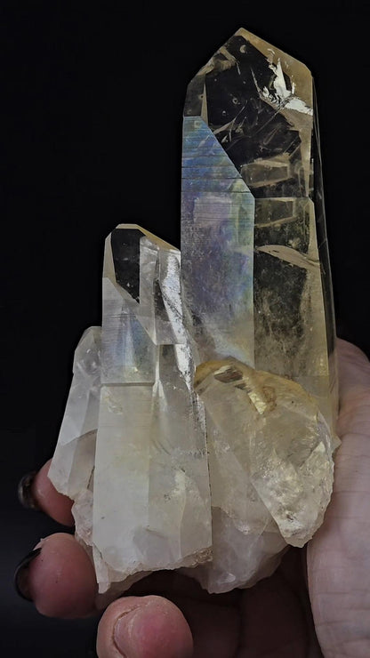 Don't Buy This Golden Healer Naturally Fully Iridescent Cluster | Santander Colombia | Dont Care If It Sells