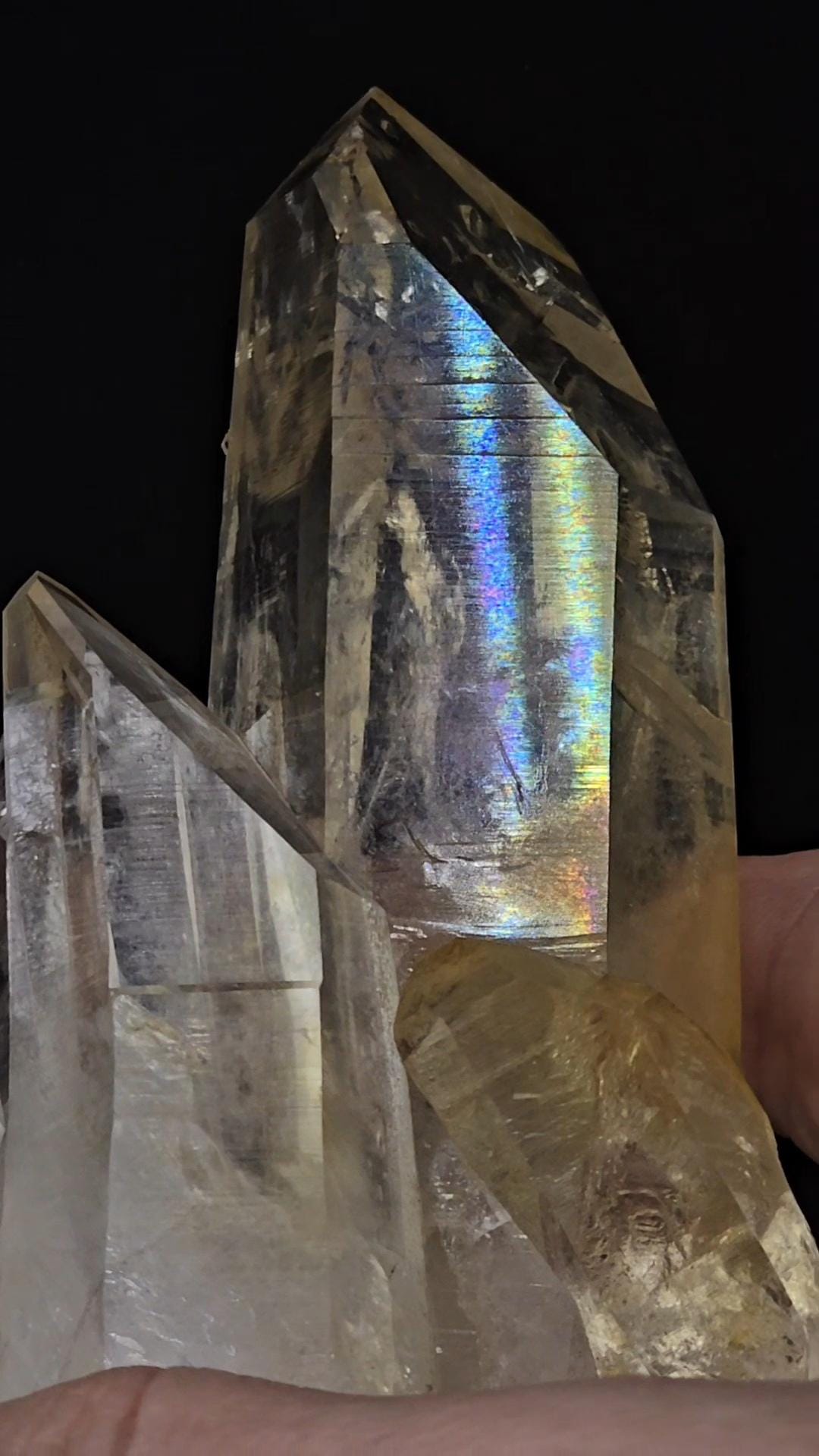 Don't Buy This Golden Healer Naturally Fully Iridescent Cluster | Santander Colombia | Dont Care If It Sells