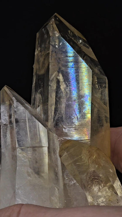 Don't Buy This Golden Healer Naturally Fully Iridescent Cluster | Santander Colombia | Dont Care If It Sells