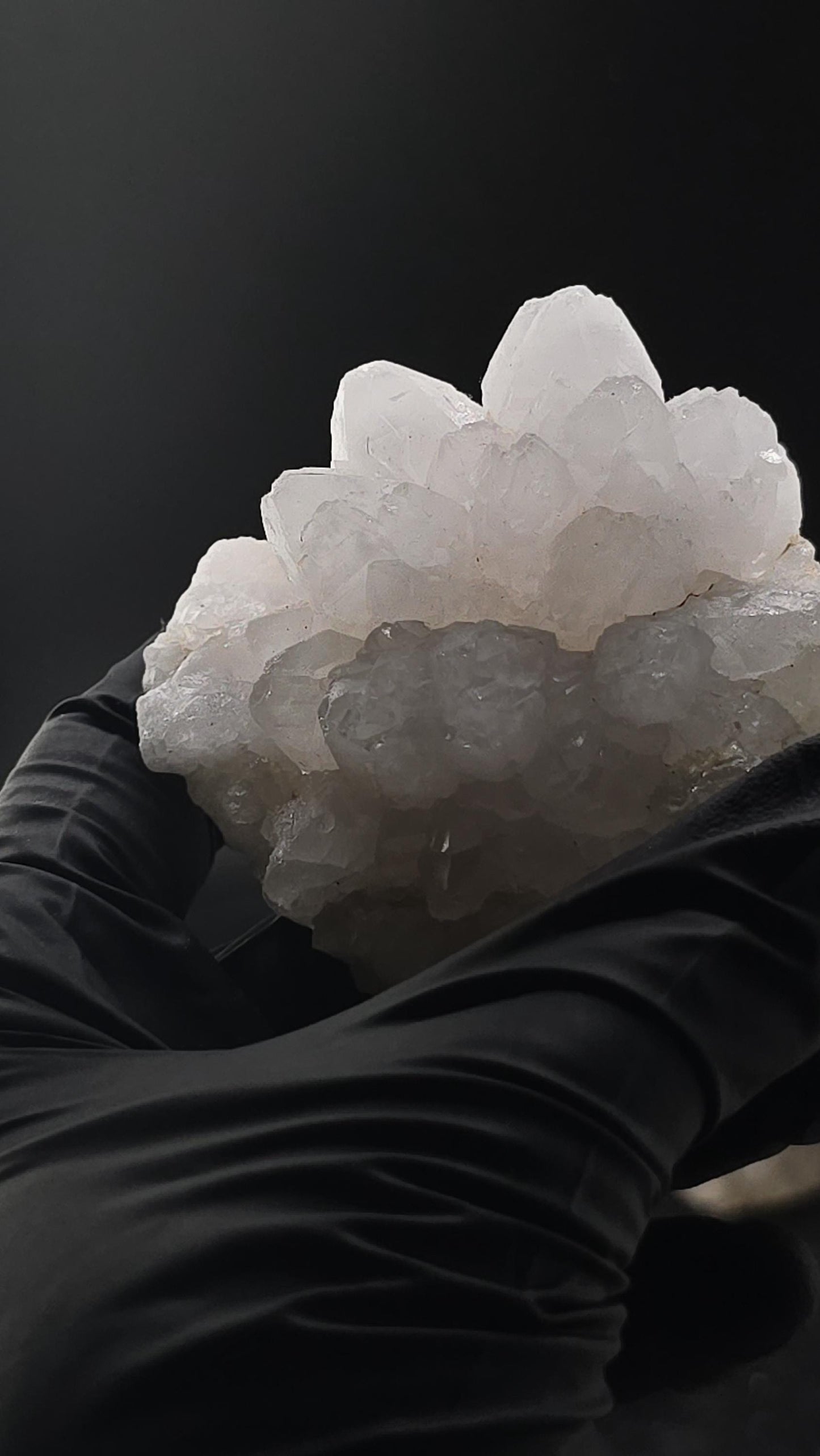White Quartz Flower Cluster | Natural Crystal Bloom | Raw Clear Quartz | Healing Energy Stone | Reiki & Meditation Decor