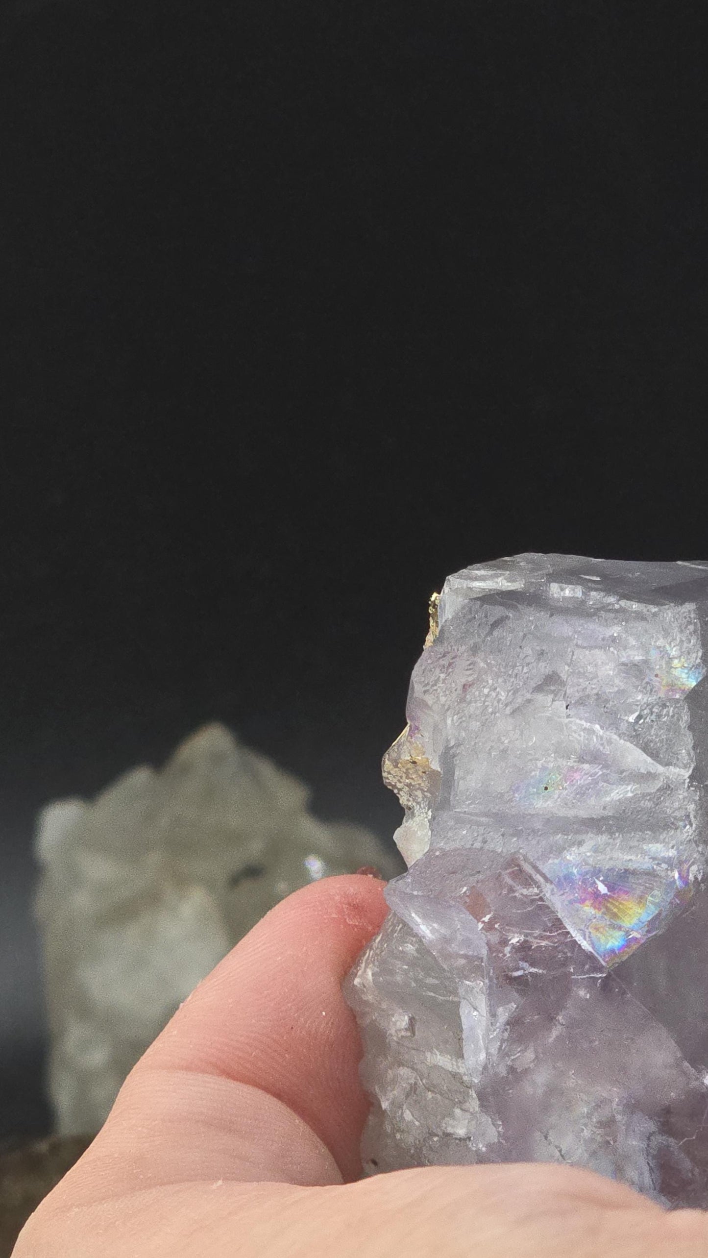 Naica Fluorite | Pyrite Included | Manifestation Crystal | Chihuahua México