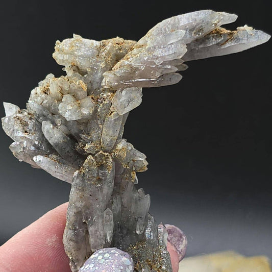 Black Amethyst Elestial Boomerang Vera Cruz | NEW FIND