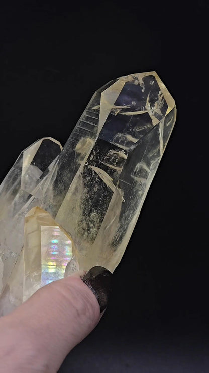 Don't Buy This Golden Healer Naturally Fully Iridescent Cluster | Santander Colombia | Dont Care If It Sells
