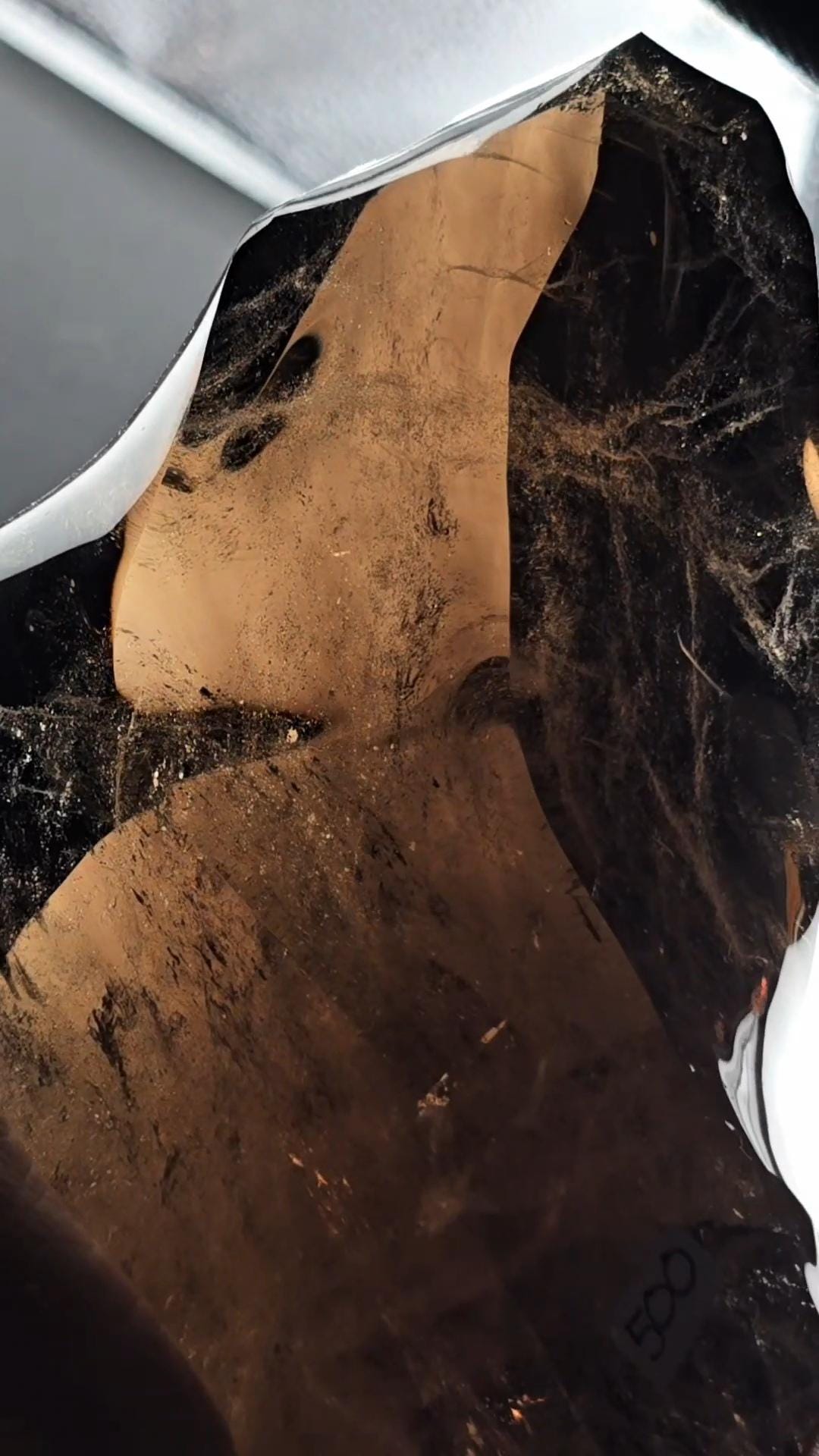 HUGE Smoky Quartz Flame from 90s Brazil w International Galaxy! 5kg