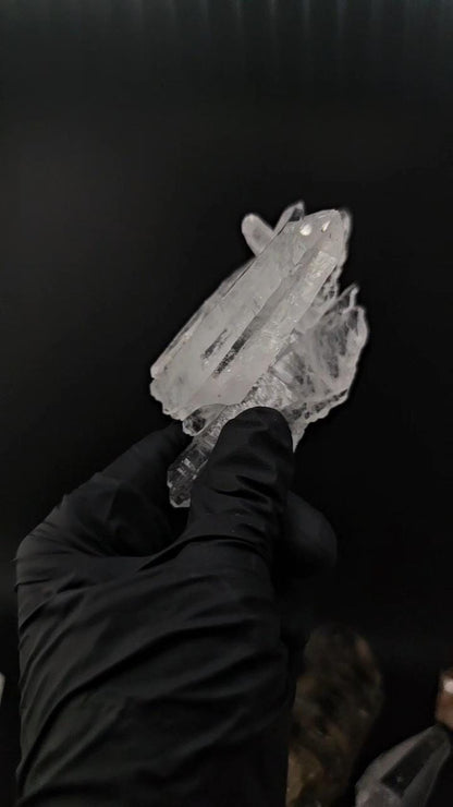 Dia Matina Brazil Laser Quartz Point Growing From Tabby Shield Quartz Plate | Water Clear Clarity | Rare Formation