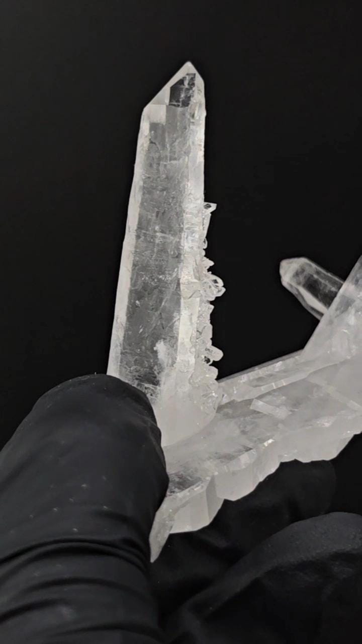 Dia Matina Brazil Laser Quartz Point Growing From Tabby Shield Quartz Plate | Water Clear Clarity | Rare Formation