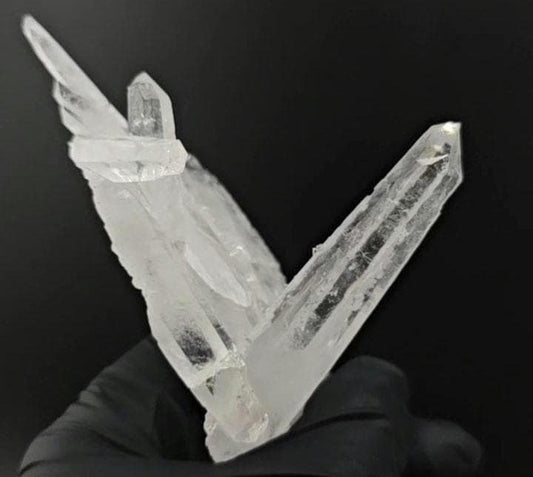 Dia Matina Brazil Laser Quartz Point Growing From Tabby Shield Quartz Plate | Water Clear Clarity | Rare Formation