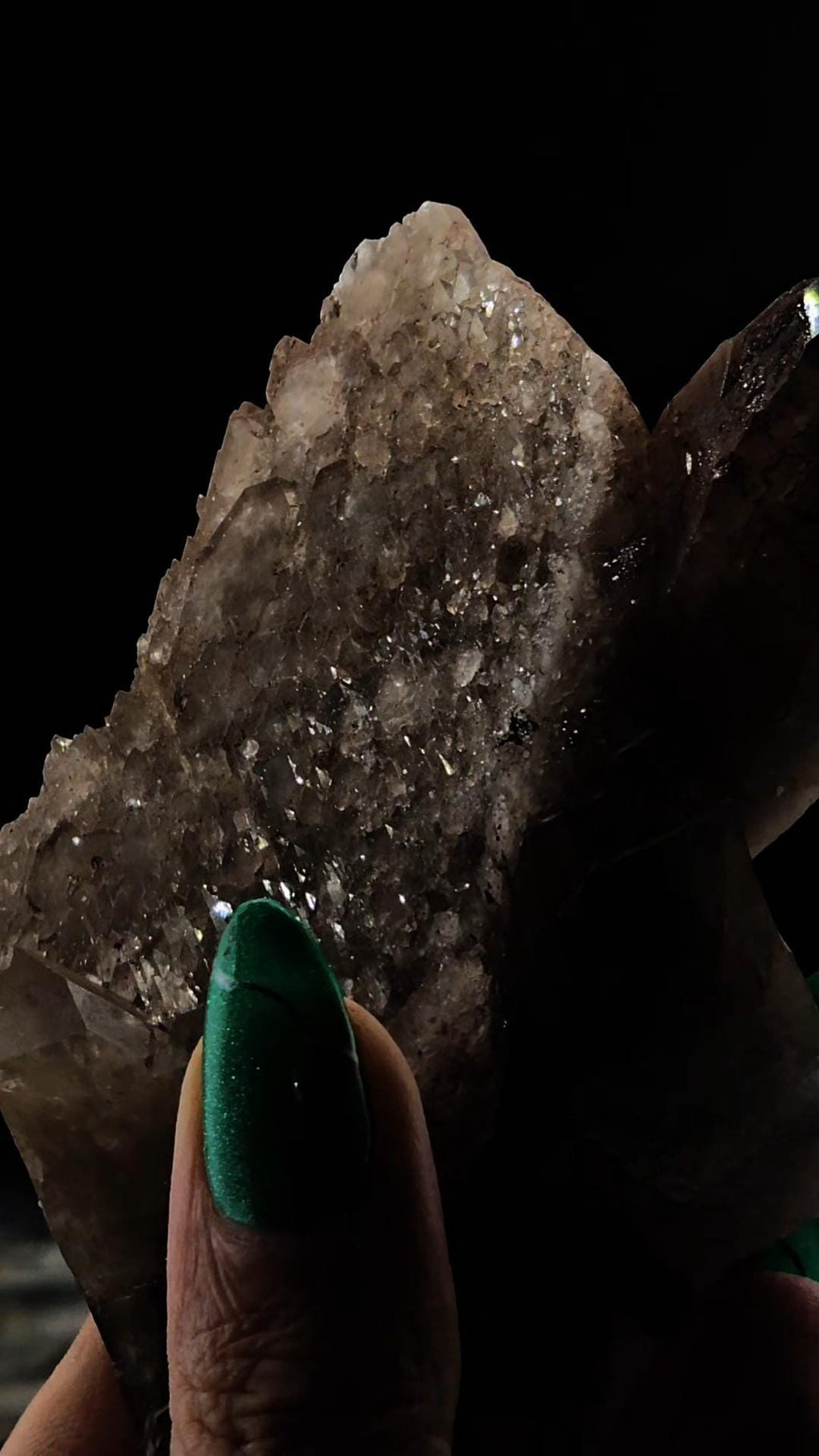 Image #7