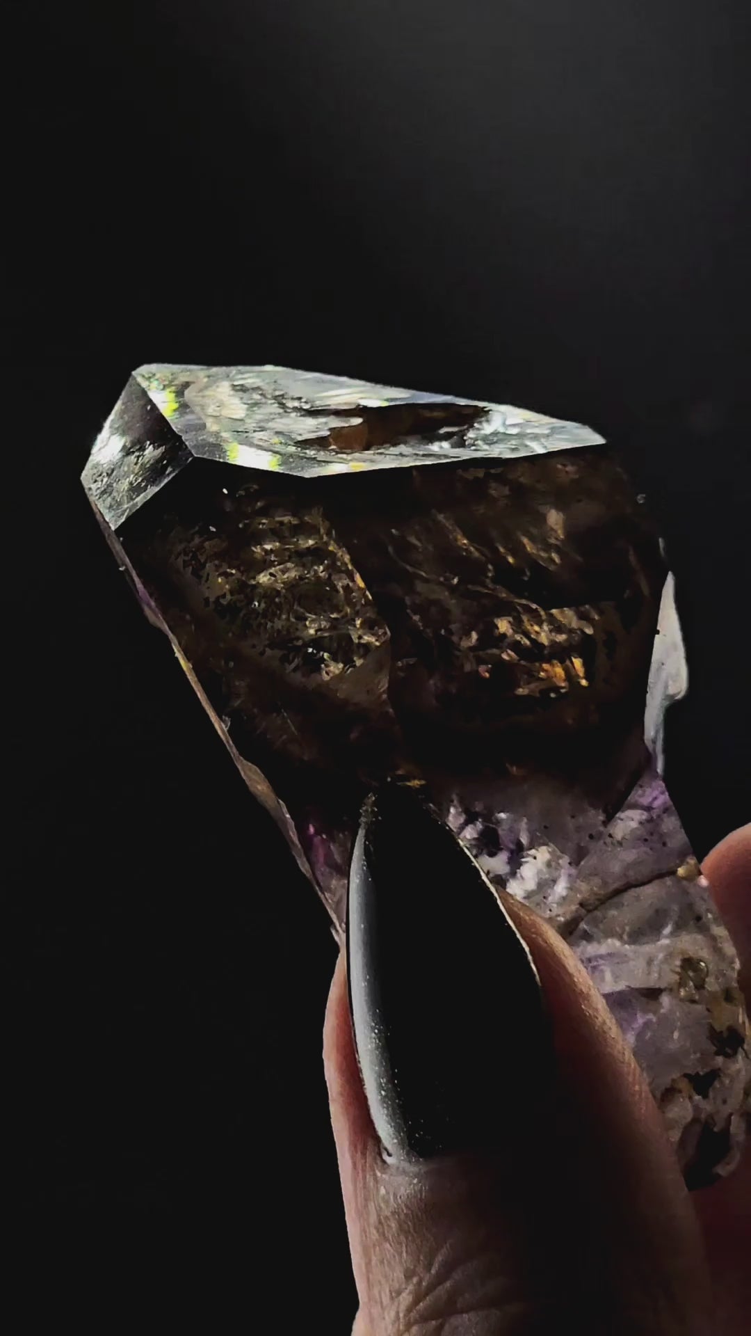 Little Ones Claim Goboboseb Scepter