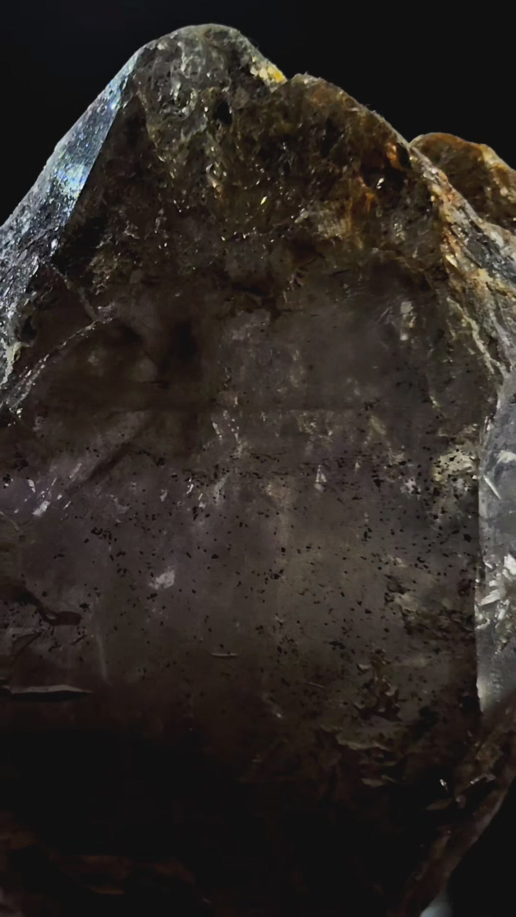 Mondo Smoky Amethyst Scepter Enhydro w Lightning Etching