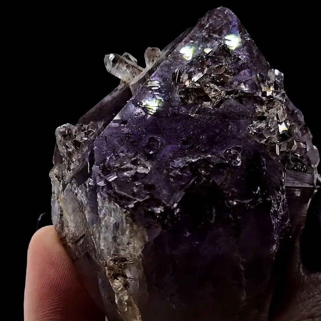 Ex Chaiken Collection Bahia Cupcake Amethyst