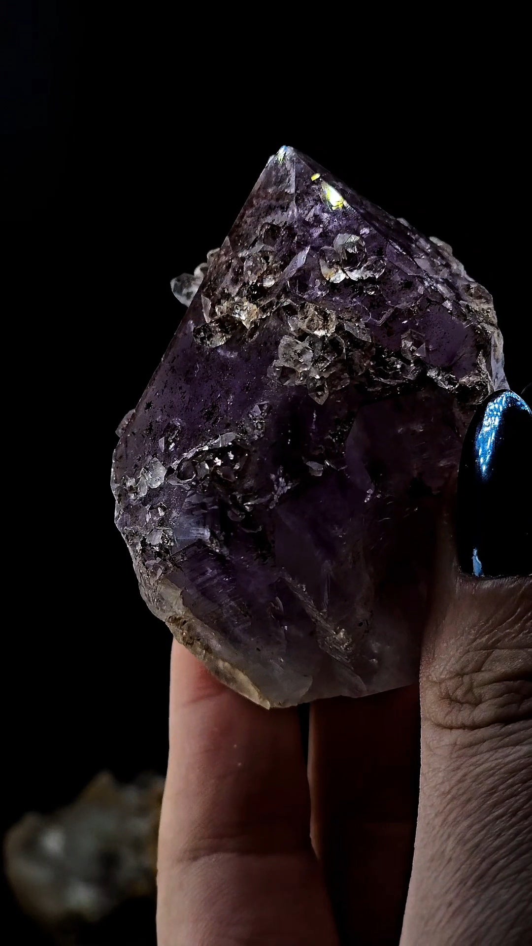 Ex Chaiken Collection Bahia Cupcake Amethyst