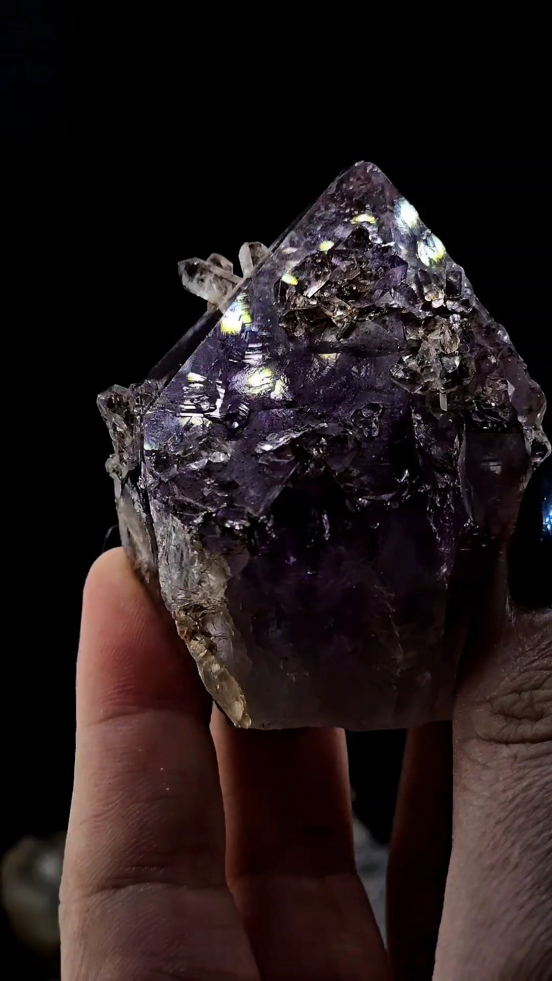 Ex Chaiken Collection Bahia Cupcake Amethyst